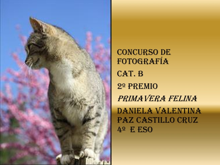 Captura de pantalla 25 6 2025 10362 